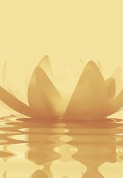 Audio recordings for the 2026 New Year's Webinar