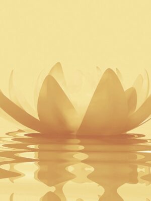 Audio recordings for the 2026 New Year's Webinar