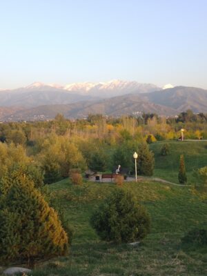 2026 Webinar for the conference in Kazakhstan - 75 €
